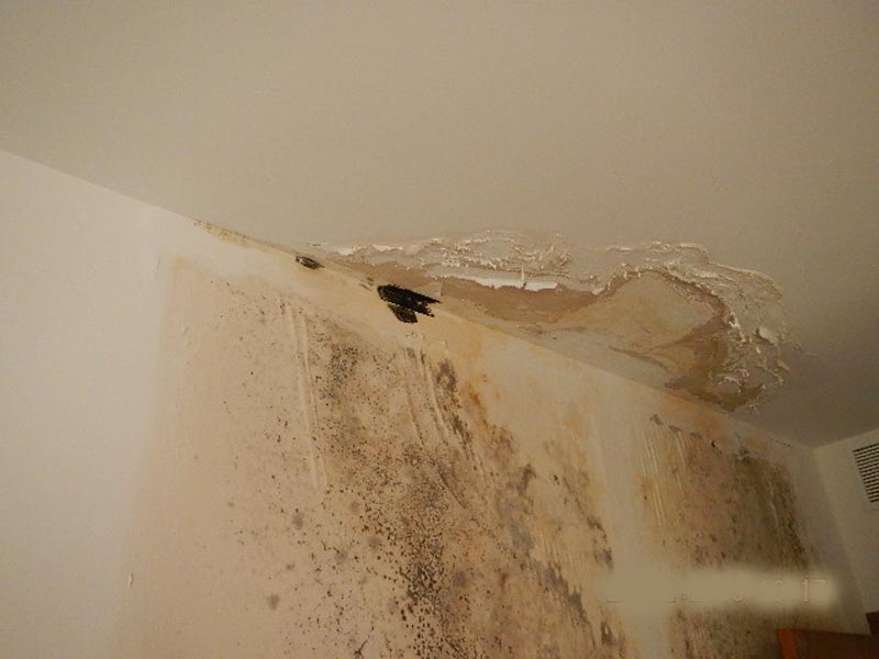Infiltration d&rsquo;eau au plafond : causes, urgence et solutions